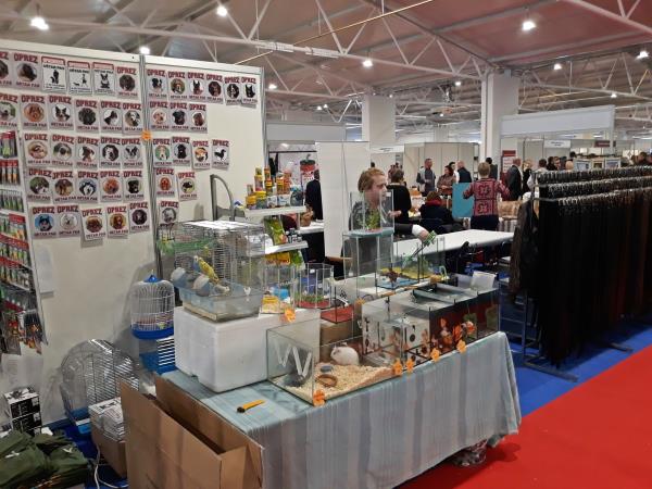 foto/Viroexpo 2019_2